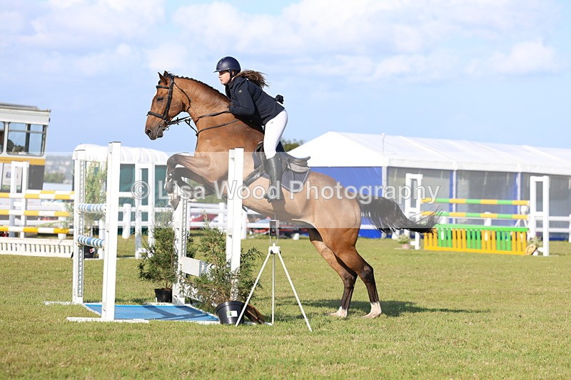 3E7A4340 - Class C: Showjumping Senior Foxhunter