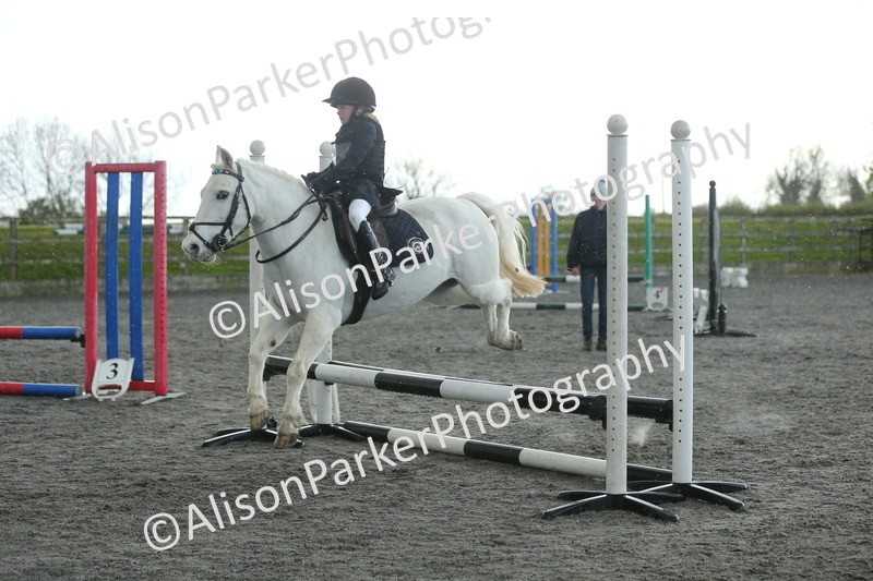 20260412-1941 - Show Jumping
