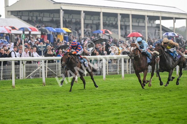 080924-Race 4-Zain Blue-9229 - Race 4 3.25pm PJ Staffing Group Handicap