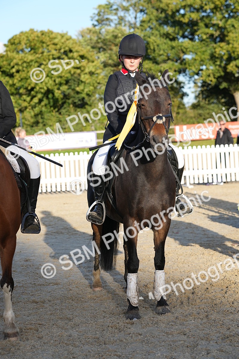 SBM_54052 - J8 - Junior Pony 65cm Championship
