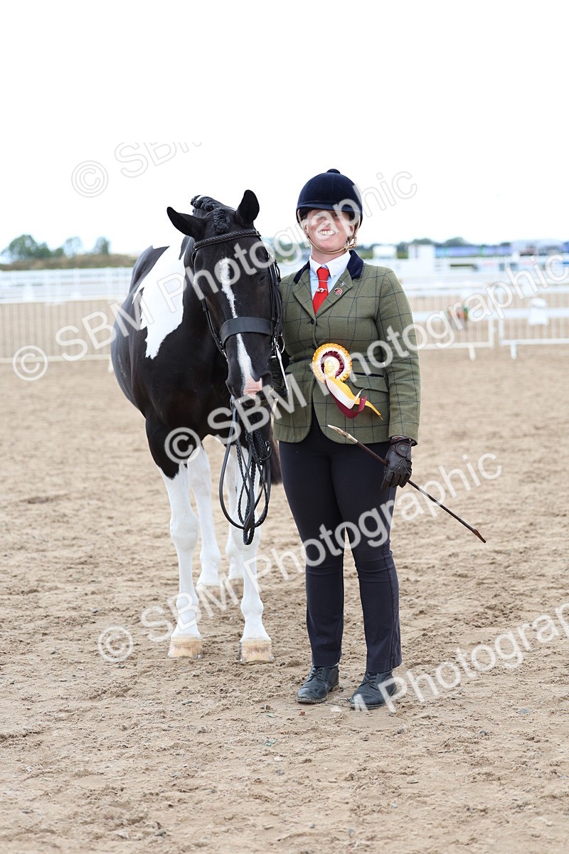 SBM_05141 - Class 27 - IH Competition Horse or Pony