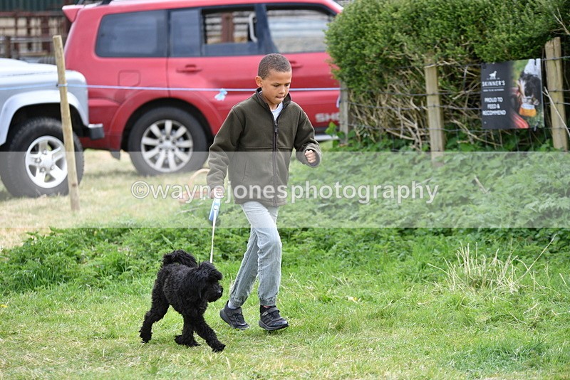 WJ5_9151 - Class 1 Best Cross Breed / Heniz 57