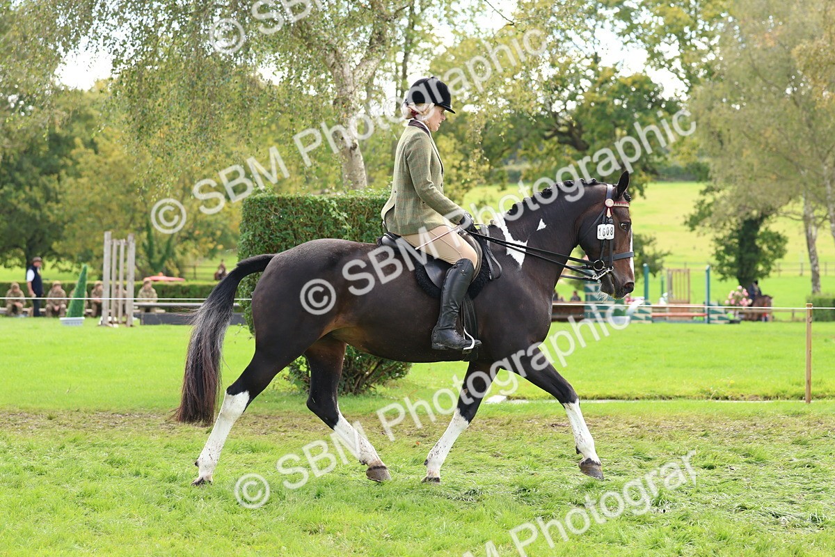 SBM_45171 - S27 - Young Veteran Ridden