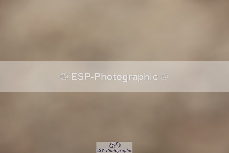 250621-120746-08916 - Cls 37 - Freestyle Adv Medium