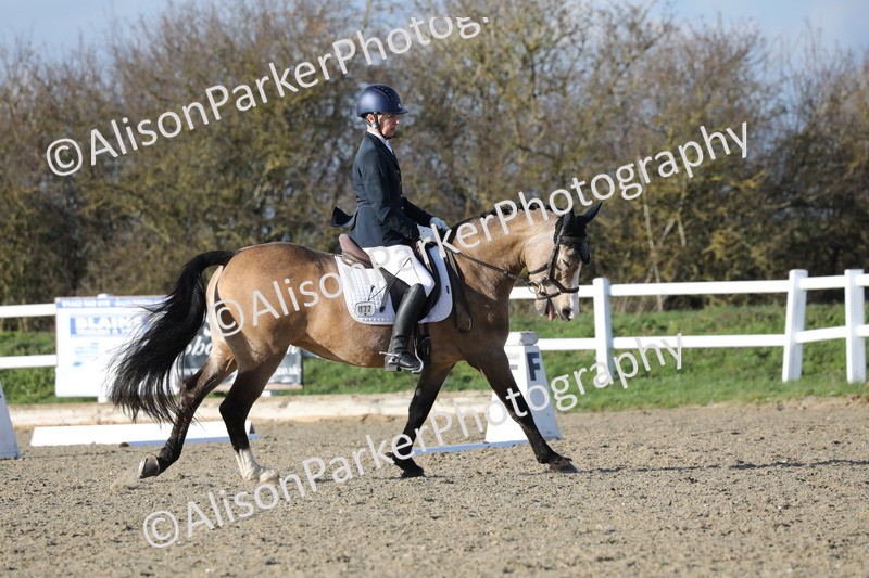 20260314-5880 - DR8 - Elementary 2