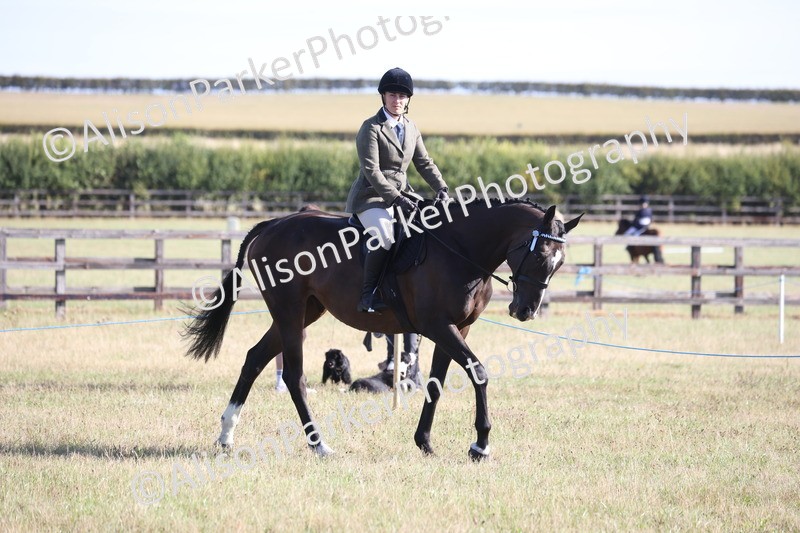 20260906-0348 - Class 14 - Ex Racehorse