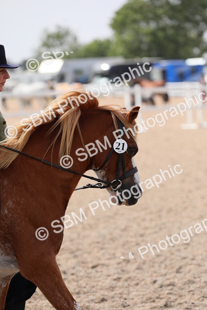 SBM_14070 - Class 309 Lead Rein Pony