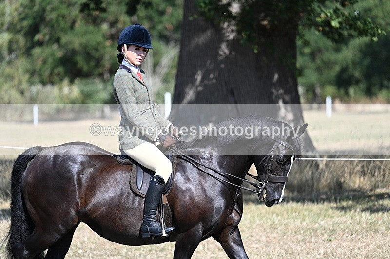 WJ7_3451 - Class 9 Mountain & Moorland Ridden