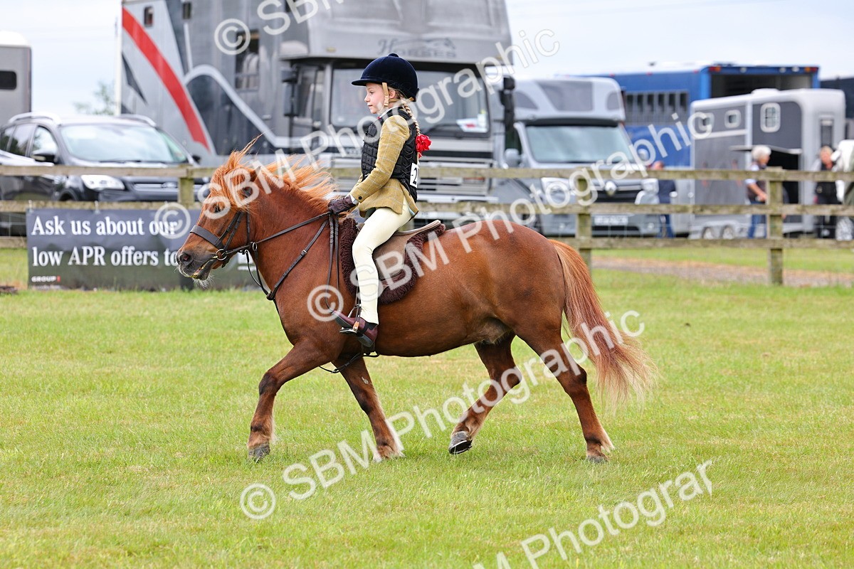 SBM_08638 - Class 42-43 - LIHS BSPS Heritage Working Sports Pony