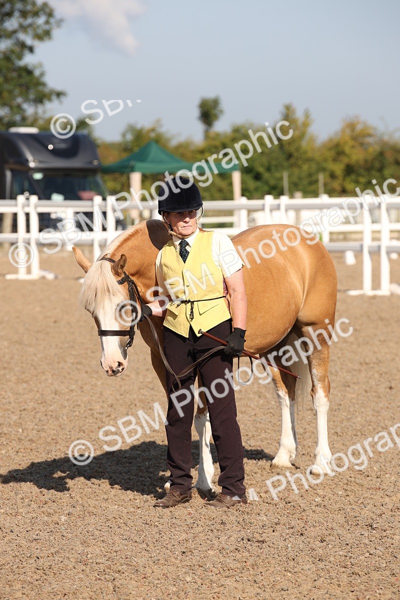 SBM_01489 - Class 15 IH Coloured