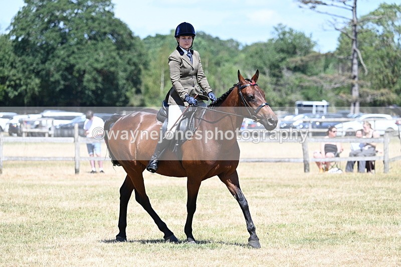 WJ7_3054 - Class 7 Riding Club Show Horse