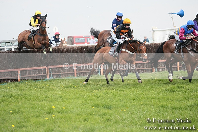 PtP 210418 339 - South & West Wilts Point-to-Point Larkhill 21/04/18