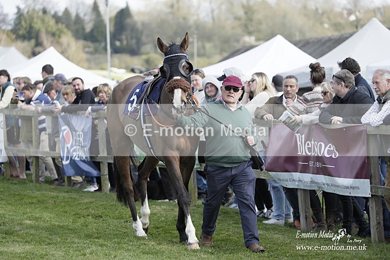 PtP 080423 475 - Dingley Races The Woodland Pytchley Hunt PtP 08/04/23