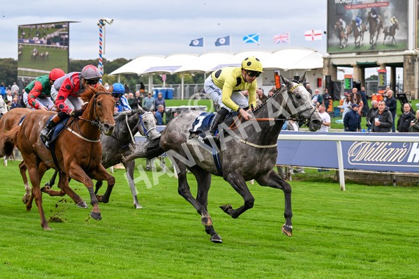 101025-Race 1-Ice Max-0061 - Race 1 William Hill Autumn Mile Handicap at York