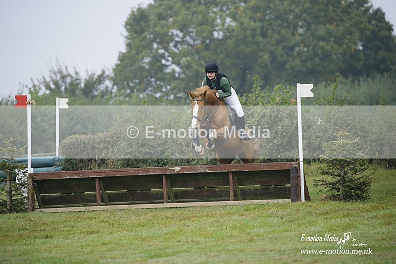 WWHT 171021 0078 - Novice Restricted (0.80m)  17/10/21