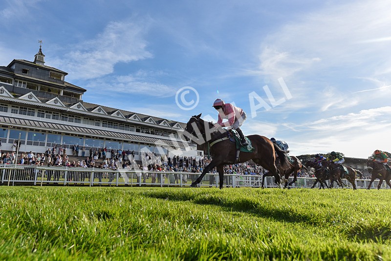 160924-Race 7-Style Of Life-6903 - Race 7