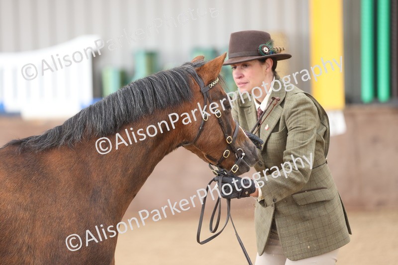 20251109-0653 - Class 22 - Geldings 4 Years and over