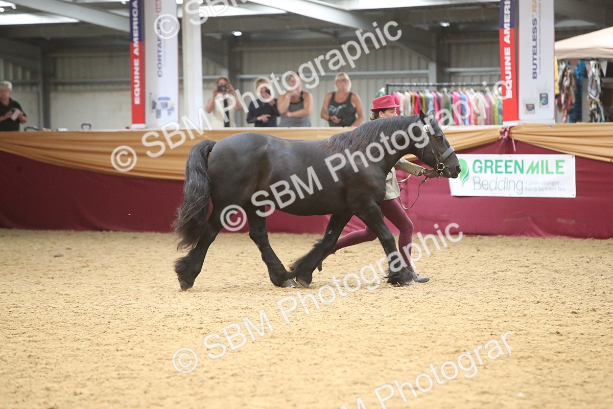 SBM_05695 - Class 9R - Regional IH Pre-Vet