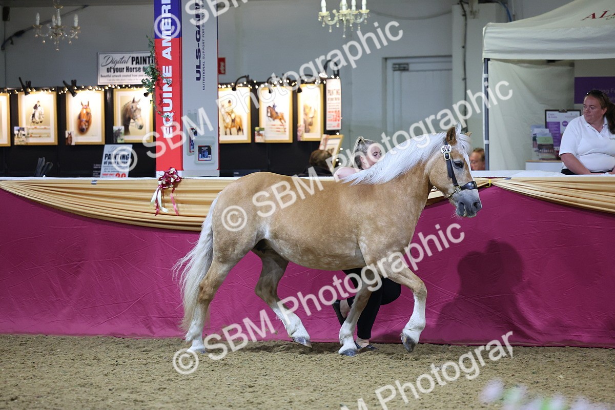 0B8A4549 - Class P Veteran Champ