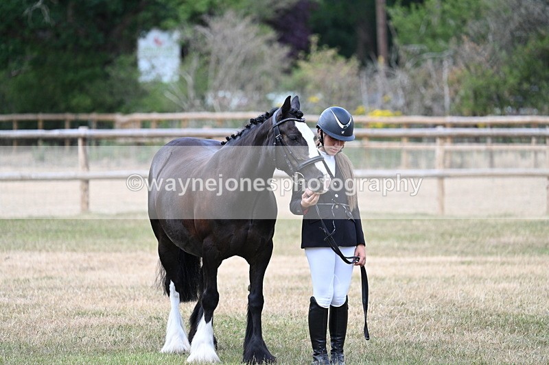 WJ7_1542 - Class 4 Prettiest Mare up to 14.2hh in hand