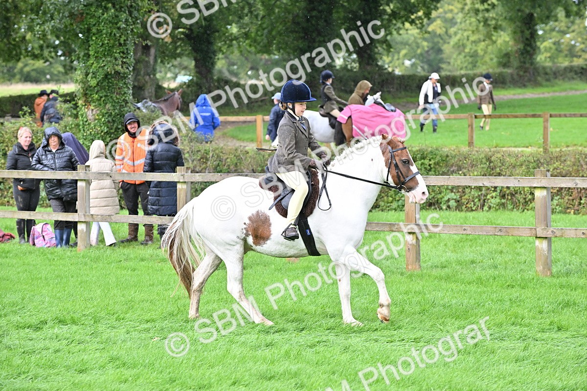 SBM_43051 - S12 - Family Horse & Pony