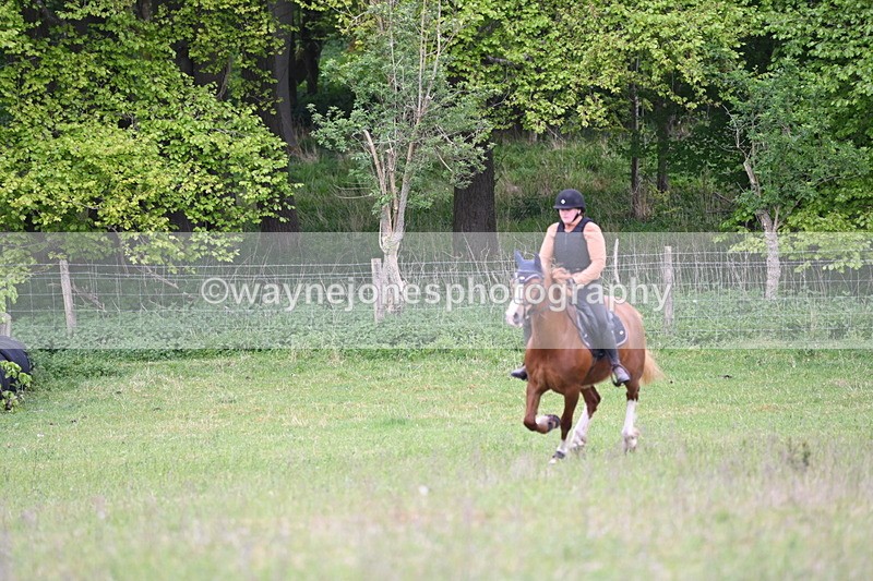 WJ6_2100 - Group 10 A&B Cameras