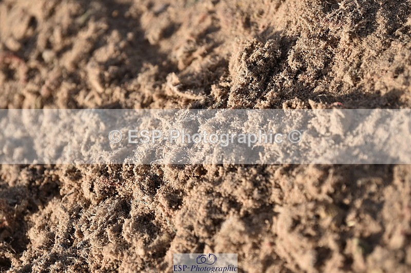 231015A-104252-07290 - Cls 23 Discovery & 1m Open