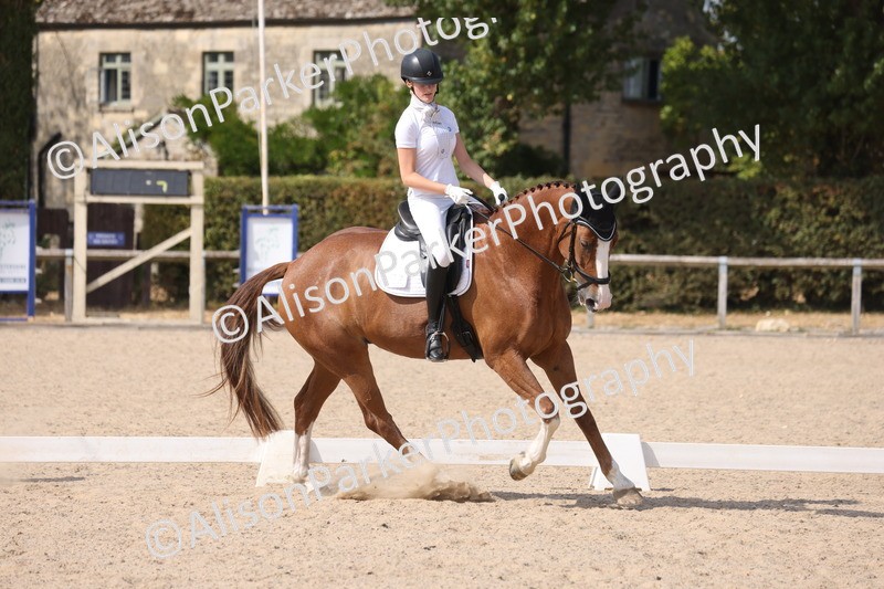 20260815-1138 - Class 6 - Novice 2