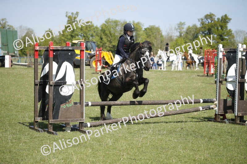 20250427-2016 - Class 13 - Novice Jumping 60cm