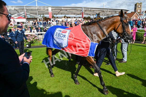 240824-Race 4-Magical Zoe-1228 - Race 4 3.35pm Sky Bet Ebor Handicap