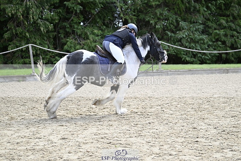 251005A-121450-03675 - Cls 08 Mini 70-75cm