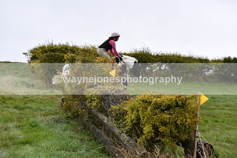 WJ5_5960 - Time 10:46 to 11:09