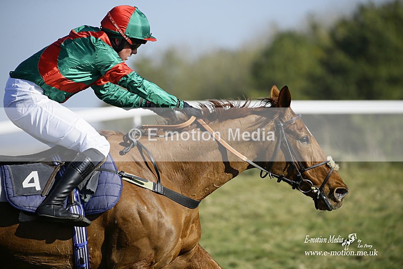 PtP 270222 124 - South & West Wilts Point-to-Point Larkhill 27/02/22