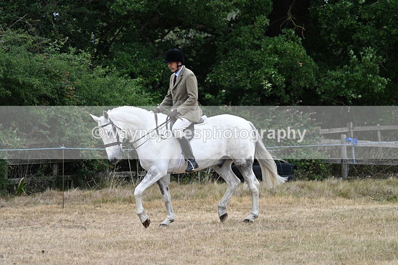 WJ7_0907 - Class 7 Riding Club Show Horse