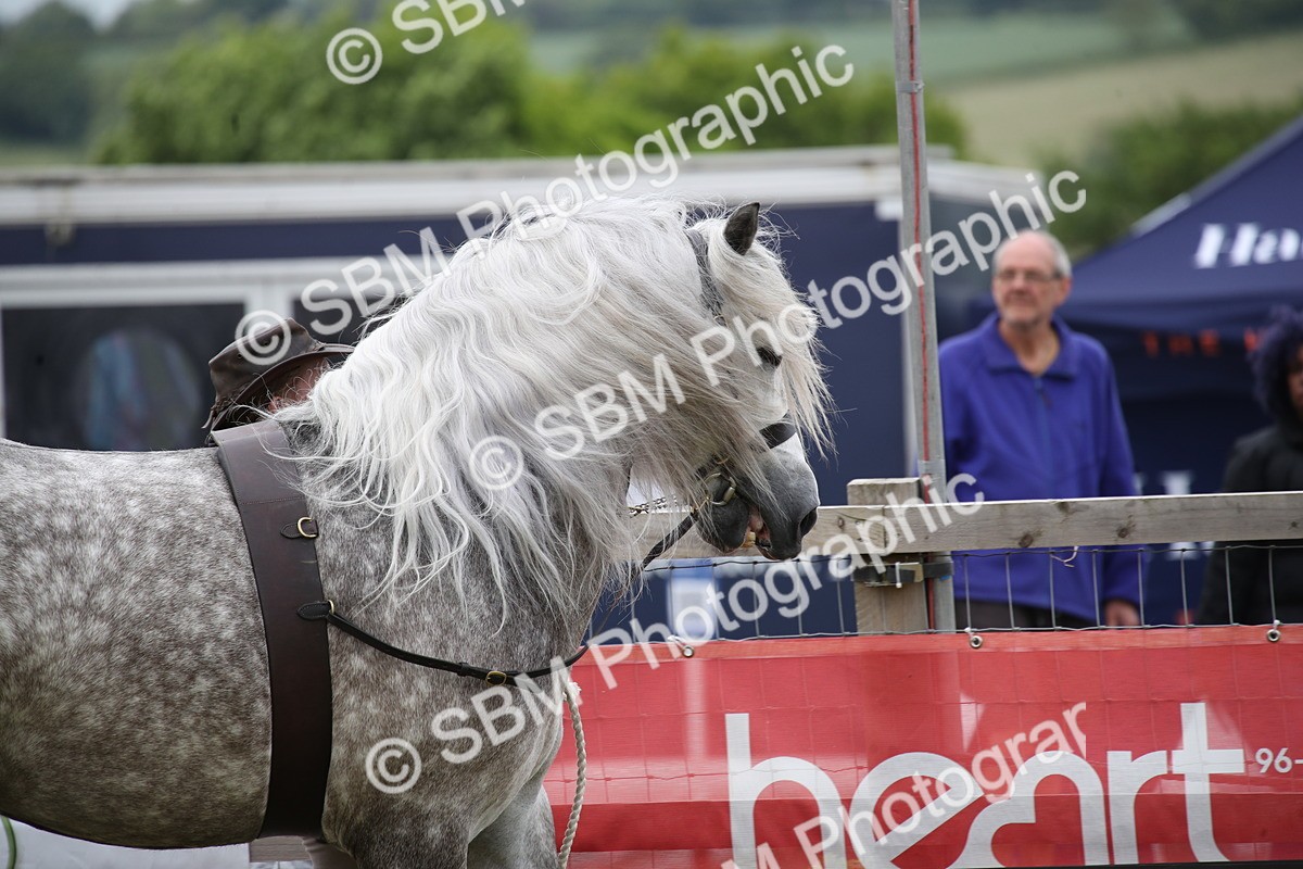 SBM_09712 - Ch 50 - Price Family Supreme In Hand