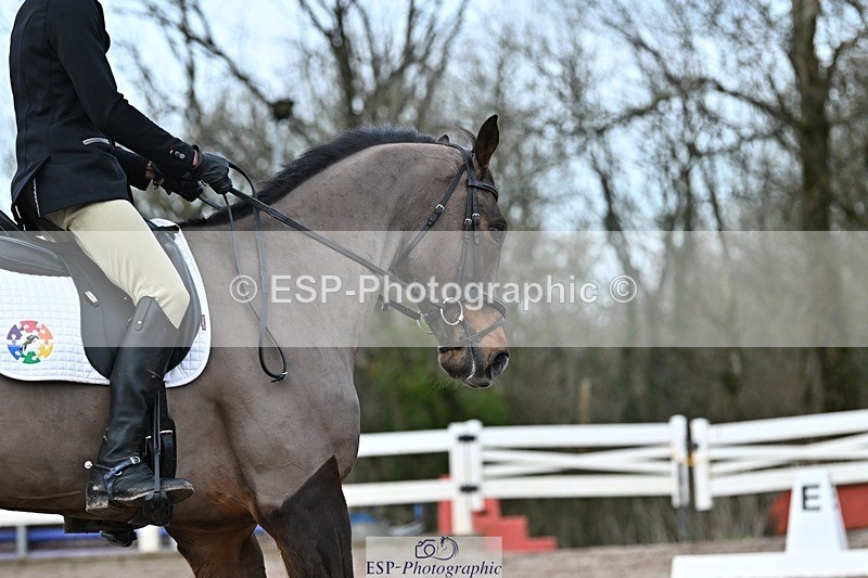250125-134804-00695 - Dressage - CT Class 7 BE Novice 112