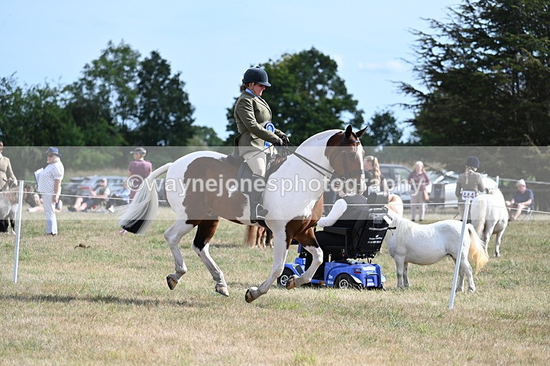 WJ7_7480 - Class 14 Ridden Coloured