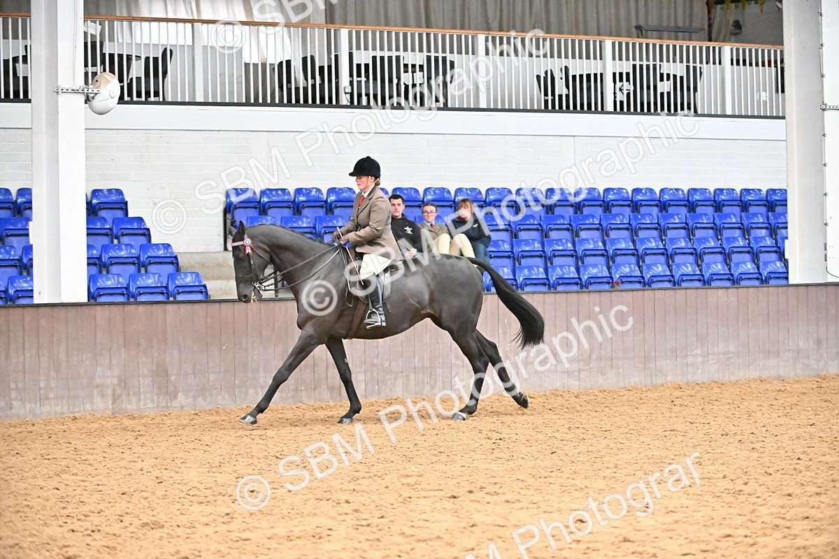 SBM_001936 - Class 25 - Tattersalls ROR Amateur Ridden