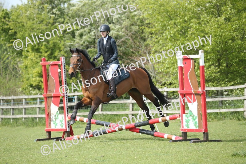 20260426-1661 - Class 14 - Novice 60cm