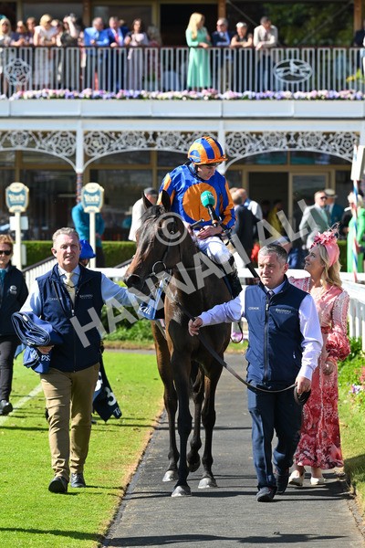 140525-Race 4-Whirl-2494 - Race 4 3.45pm Tattersalls Musidora Stakes