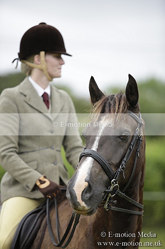 BVR160717-1335 - Ring 1 BVRC Show 16/07/17