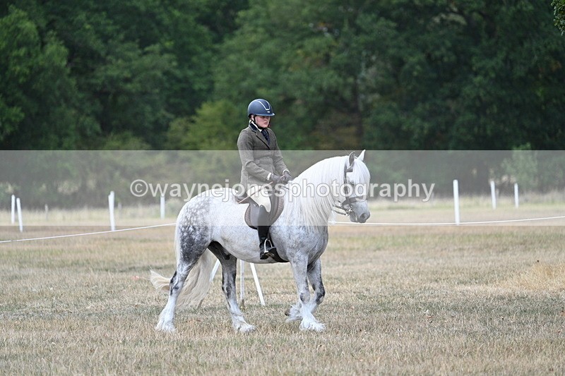 WJ7_4727 - Class 12 Ridden Cob