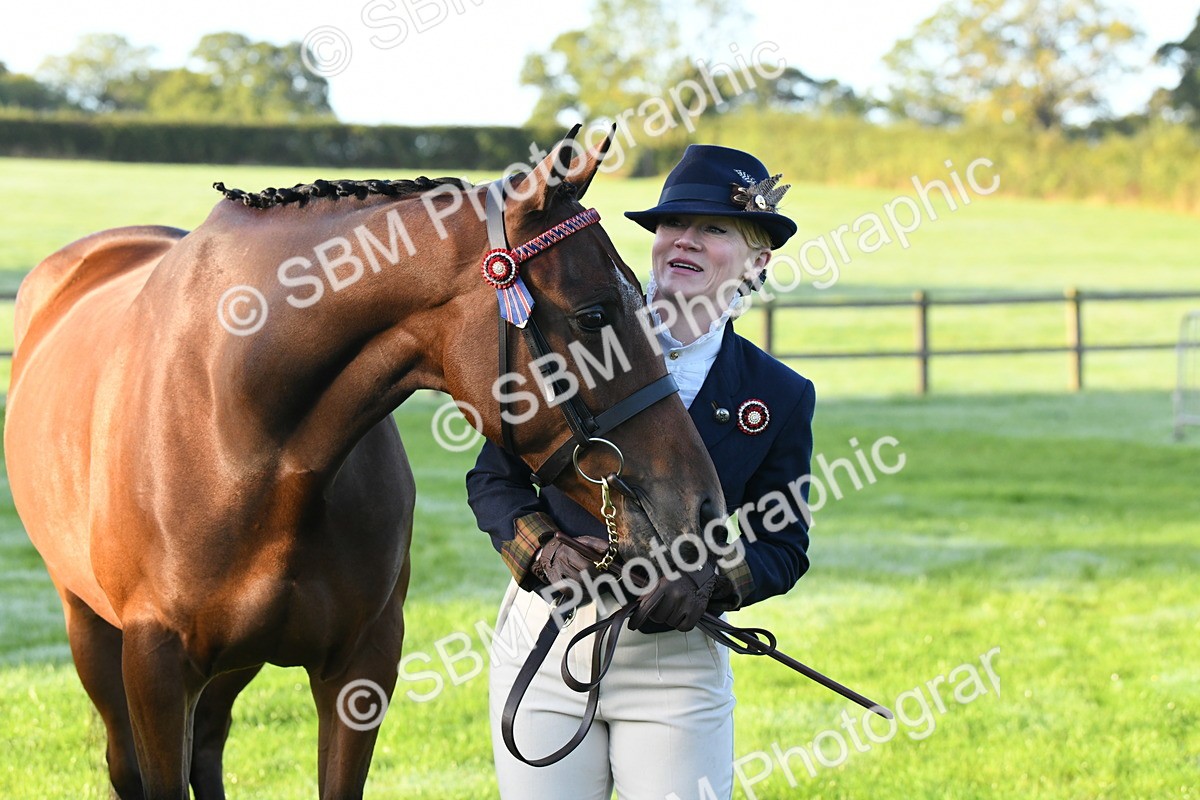 SBM_32652 - S15 - Condition & Turnout In Hand
