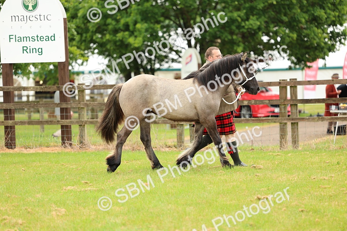 SBM_00419 - Class 58-67 - M&M Non Welsh Pony In hand