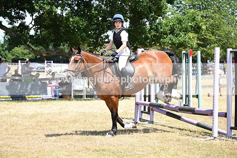 WJ6_5952 - Class 13 Novice 60cm