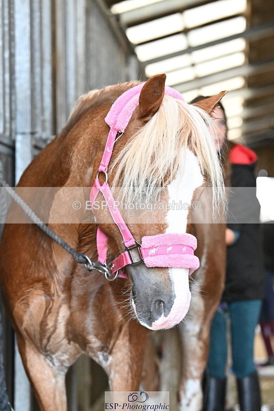 250821B-151335-00662 - Group C - Laraine