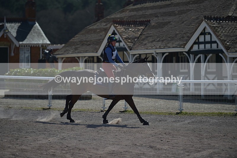 NGP_8242 - XC Time 13:29 to 13:34