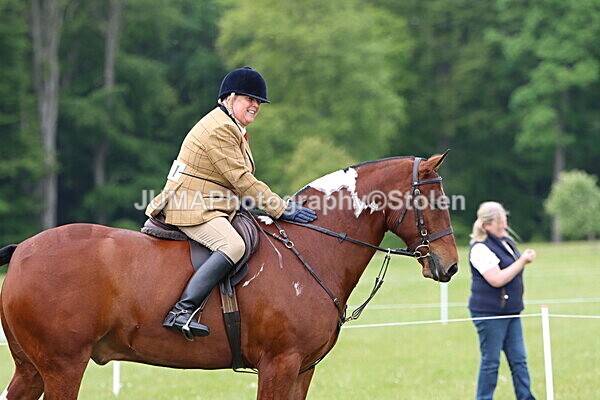 IMG_2810 - Working Hunter