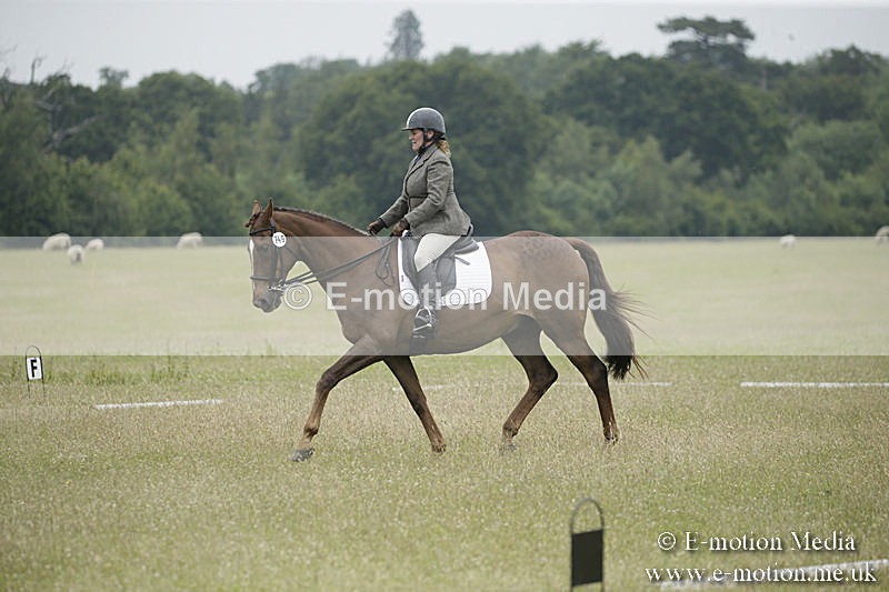 B230619-0788 - Bourne Valley Riding Club Summer Show 23/06/19