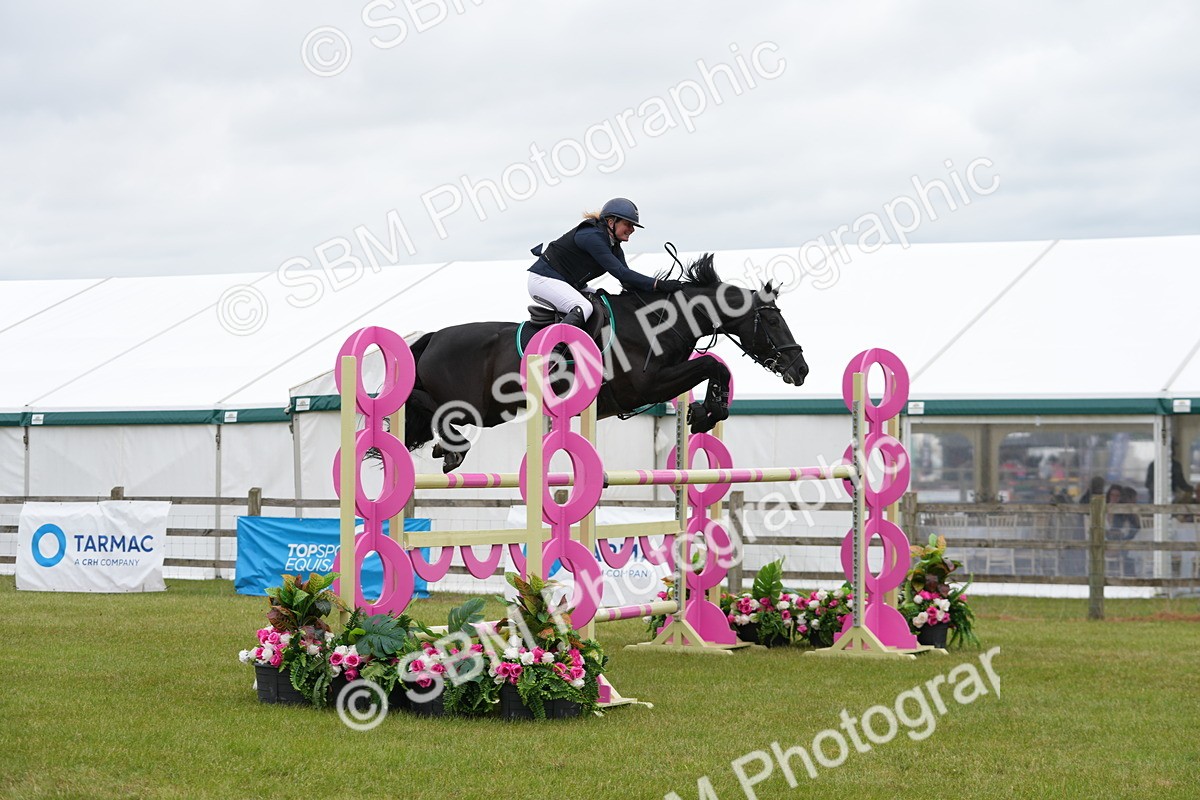 SBM_03148 - Class 201 - British Horse Feeds Speedi Beet Horse of the Year Show Grade  C